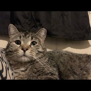 Meet your Posher, Delma